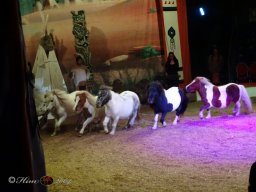 Circus YAKARI Show am 04.10.2024